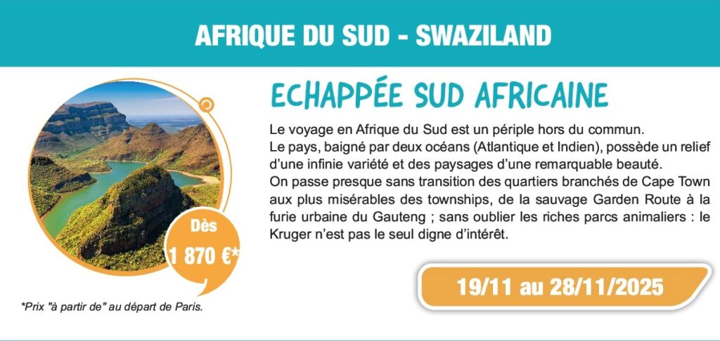 affiche voyage en Afrique du sud