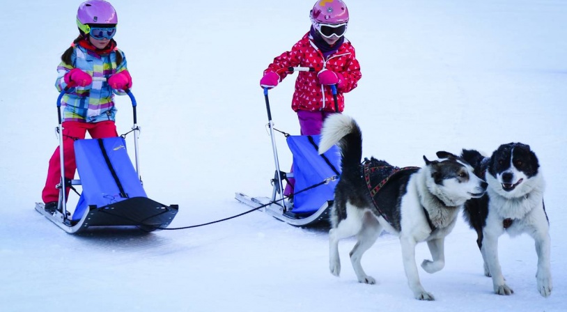 deux enfants poussant un chien de treneau avec deux border coli