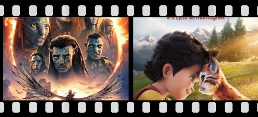 logo avec affiche d'avatar et d'heidi et le lynx des montagnes